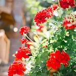 Hotel Karia Bel - Adult Only +12